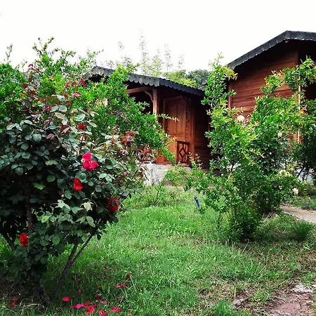 Privatunterkunft Eva Bungalow Olympos