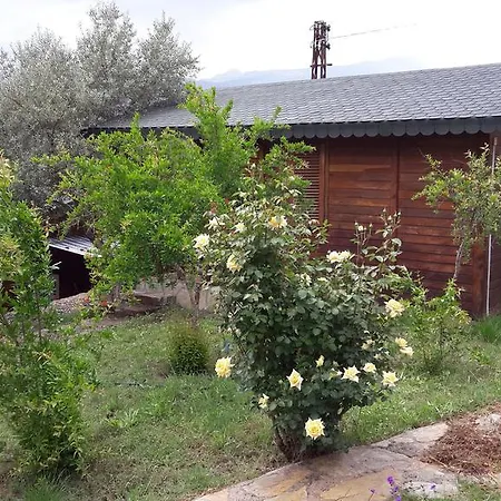 Privatunterkunft Eva Bungalow *