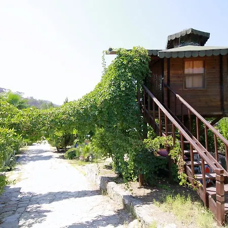 Eva Bungalow Olympos