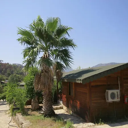 Eva Bungalow *
