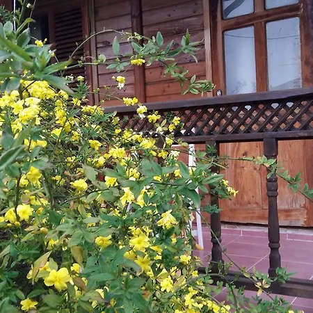 Eva Bungalow *