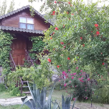 Eva Bungalow Olympos