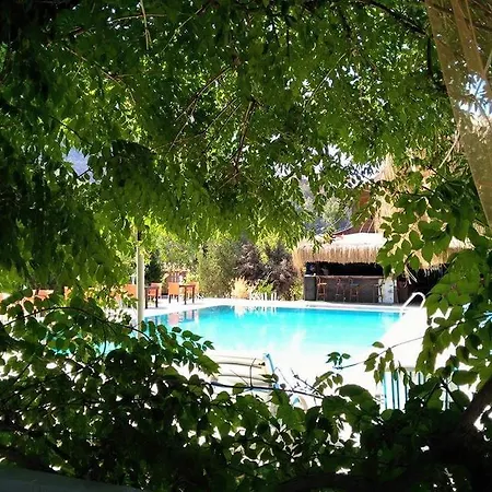 Privatunterkunft Eva Bungalow *
