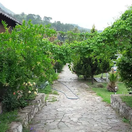 Eva Bungalow
