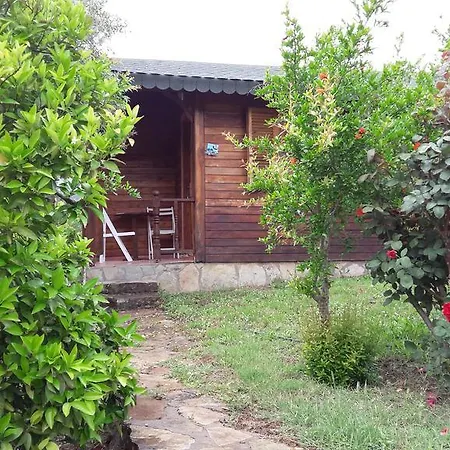 Homestay Eva Bungalow *