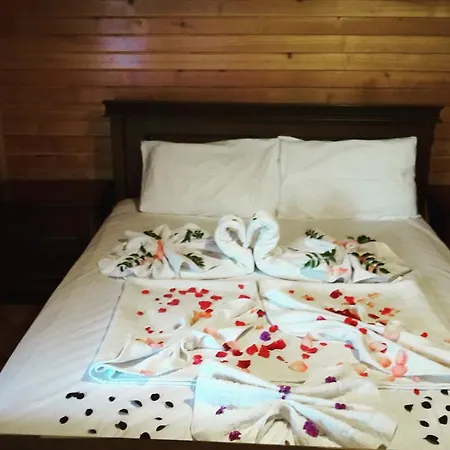 Homestay Eva Bungalow Olympos