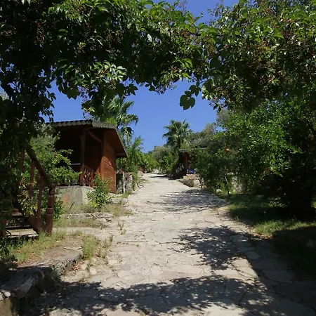Homestay Eva Bungalow Olympos