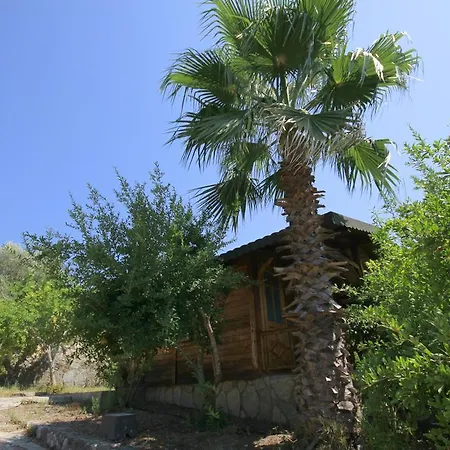 Eva Bungalow Homestay