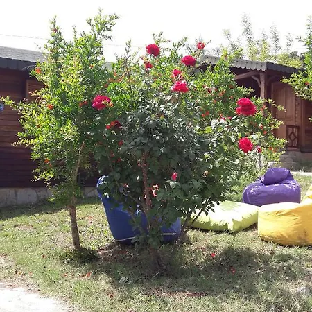 Eva Bungalow Olympos